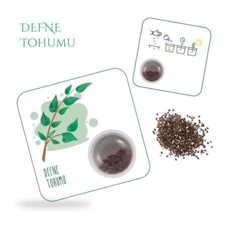 4814 cherry domates tohum kartı (kopya)