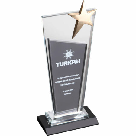 6806 kristal plaket 13 x 23 cm (kopya)